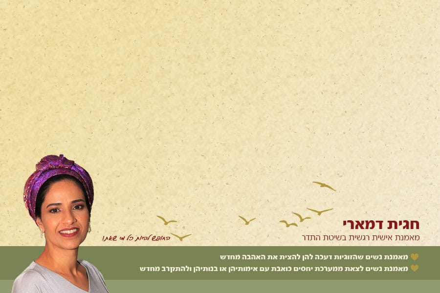 חגית דמרי דף שלם