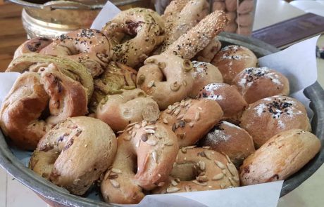 פודי’ז – בייגל בצל
