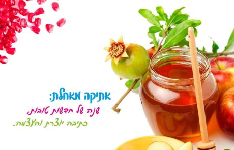 ברוכה הבאה שנת תשע”ט