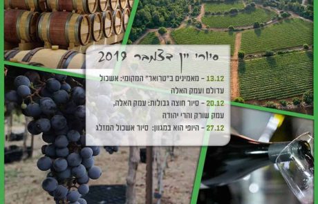 סיור יקבים פסטיבל היין ונאמן למקום – שבוע שני