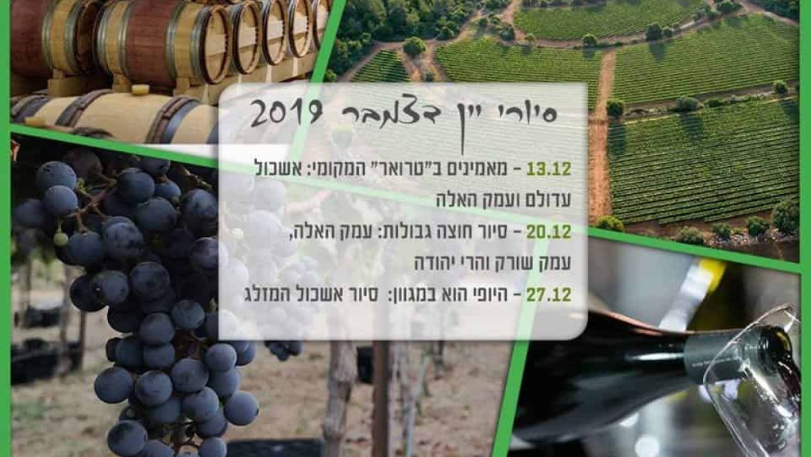 סיור יקבים פסטיבל היין ונאמן למקום – שבוע שני
